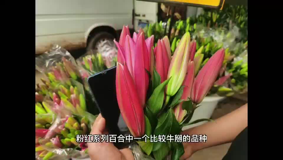 7月鲜花团生活明朗，鲜花可爱一束花🌸，治愈一整个夏天三文鱼