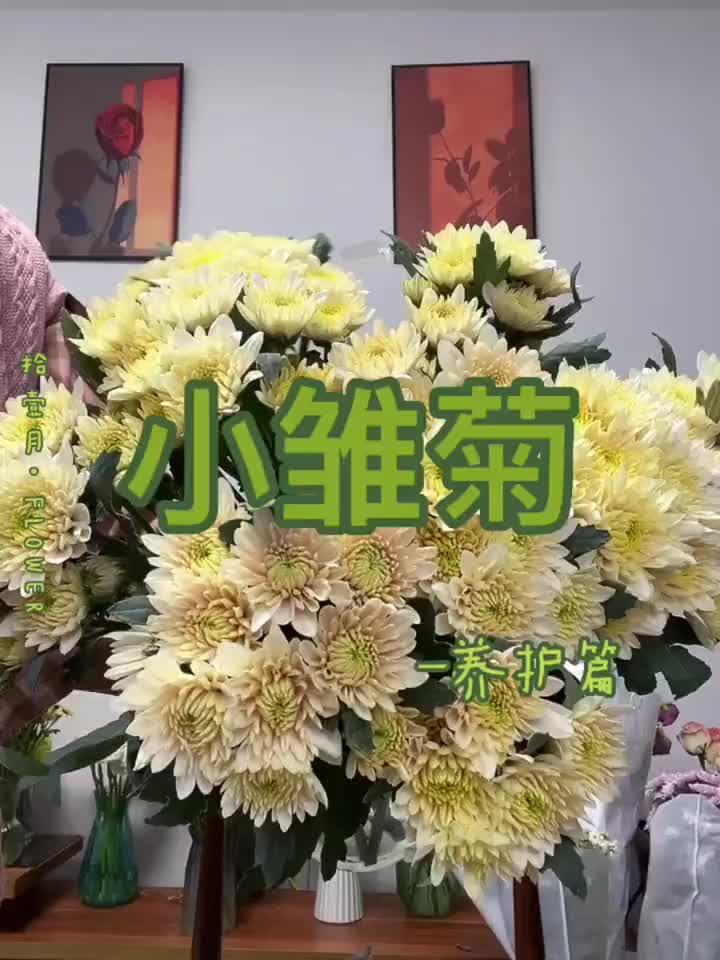 7月鲜花团生活明朗，鲜花可爱一束花🌸，治愈一整个夏天三文鱼